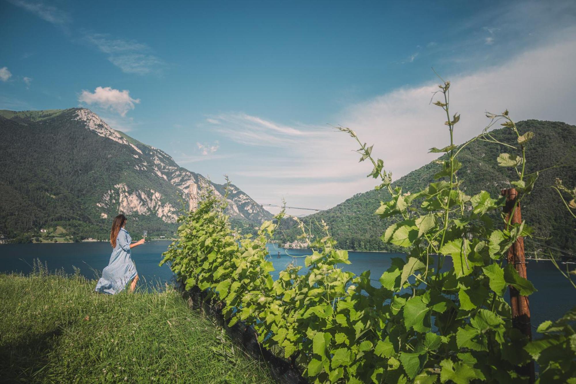 B&B Ca' Serena Wine Retreat LEDRO Exteriér fotografie